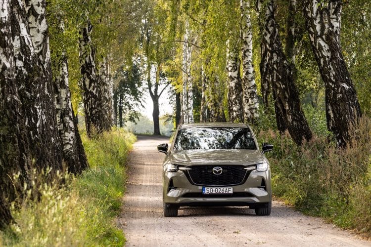 „Miejsca mocy“ – jesienna podróż w rytmie slow po Polsce